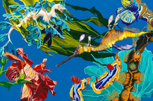 Load image into Gallery viewer, Seadragon's Surprise Giclee on Canvas