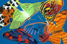 Load image into Gallery viewer, Flutter Giclee on Canvas