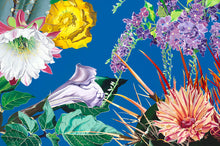 Load image into Gallery viewer, Sonoran Symphony Giclee on Canvas