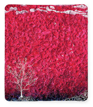 Load image into Gallery viewer, Hope Springs - Blanket