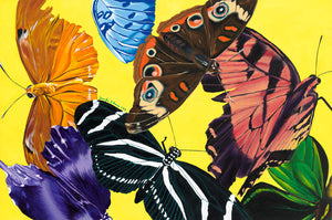 Butterfly Waltz 20x30" Poster