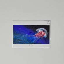 Load image into Gallery viewer, Jellyfish Rising Card
