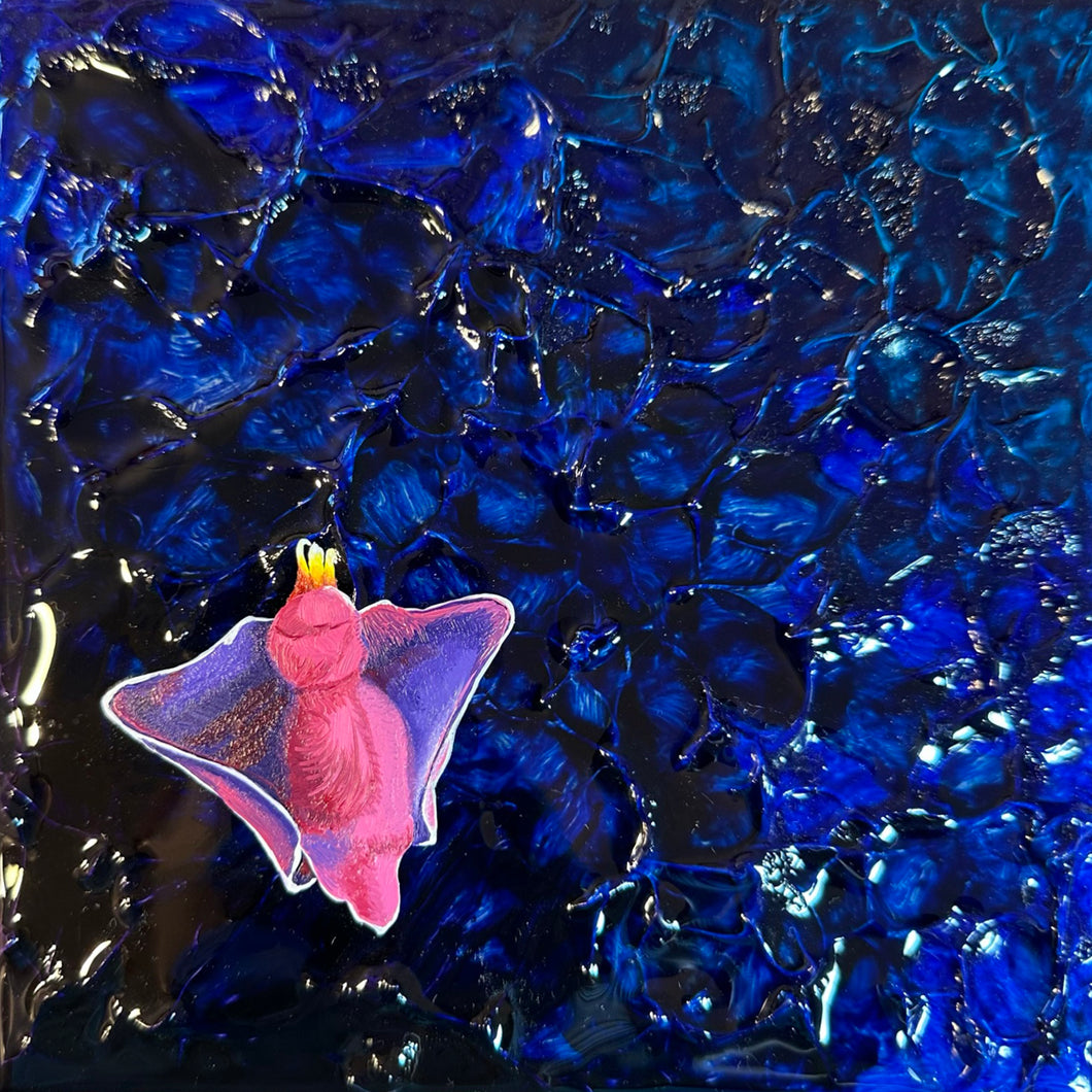 Batwing Ornatum (#7)