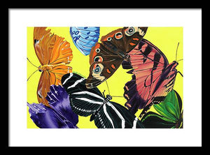 Butterfly Waltz - Framed Print