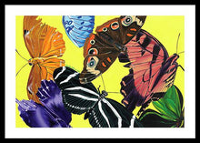 Load image into Gallery viewer, Butterfly Waltz - Framed Print
