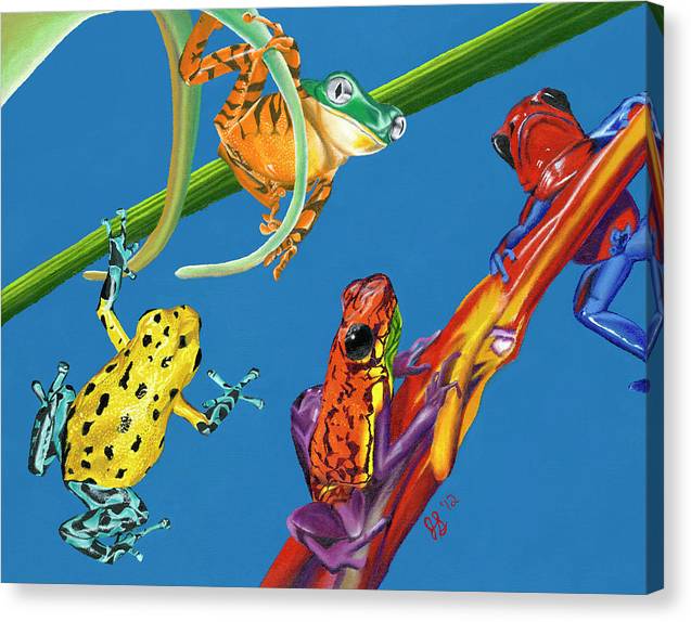 Frog Quartet - Canvas Print