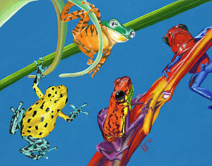 Frog Quartet - Art Print