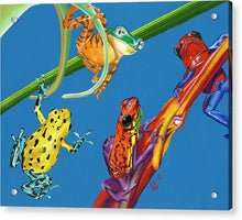 Load image into Gallery viewer, Frog Quartet - Acrylic Print

