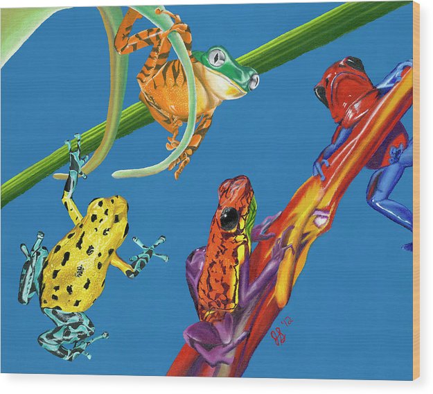 Frog Quartet - Wood Print