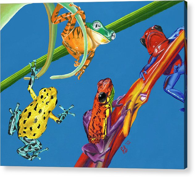 Frog Quartet - Acrylic Print