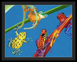 Frog Quartet - Framed Print