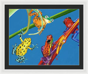 Frog Quartet - Framed Print