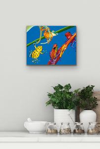 Frog Quartet Giclee on Canvas