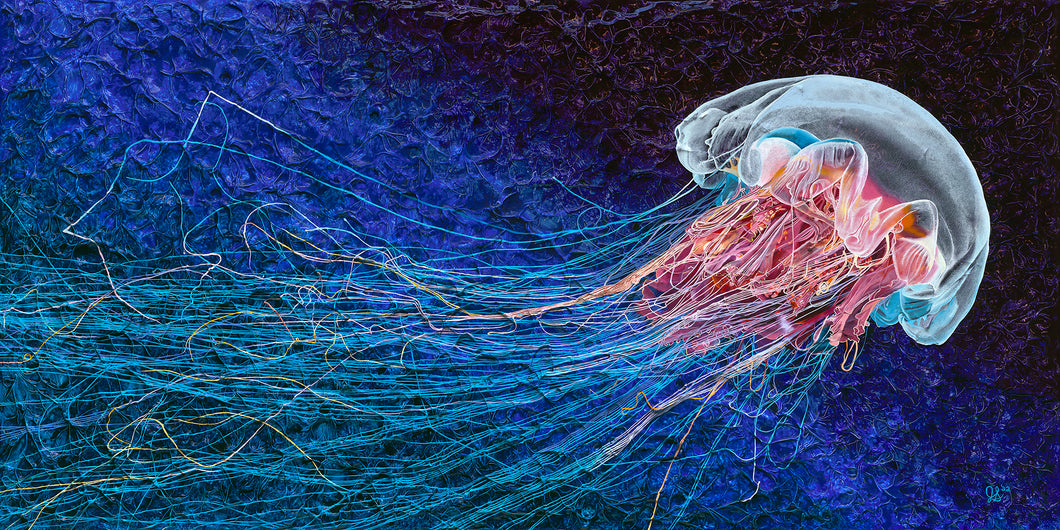 Jellyfish Rising 10x20