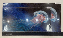 Load image into Gallery viewer, Jellyfish Rising 10x20&quot; Poster
